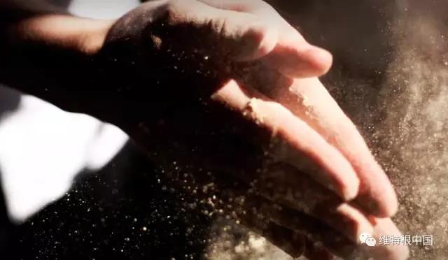 1569312979777432.jpg 1.jpg